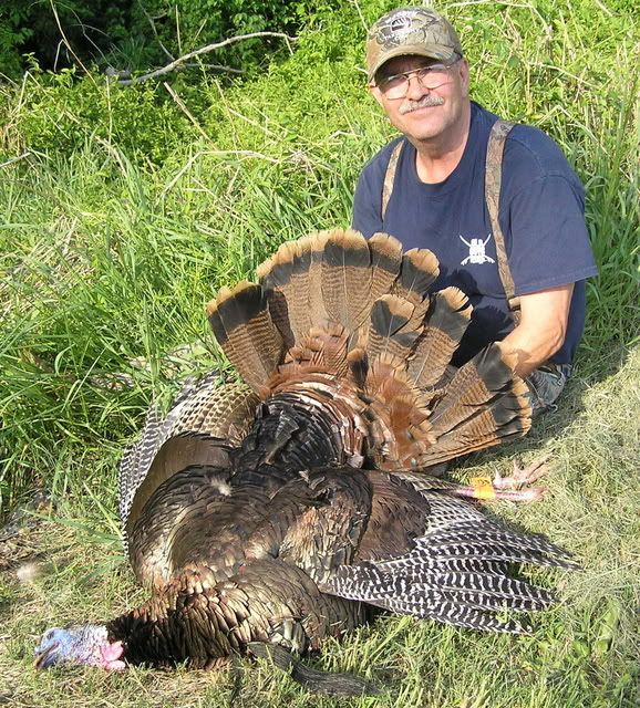 What is the biggest turkey you killed this year? Kentucky Hunting